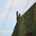 dsc 6290.jpg