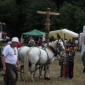 img 8157.jpg