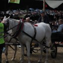 img 8671.jpg