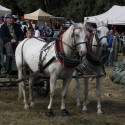 img 8679.jpg
