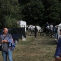 img 8693.jpg