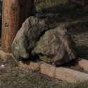 img 8700.jpg