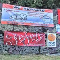 img 9818.jpg