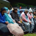 dsc 9776.jpg