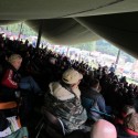 img 8869.jpg