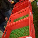 dsc 0158.jpg