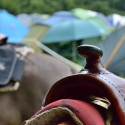 dsc 9851.jpg