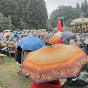 img 8668.jpg
