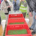 img 8702.jpg